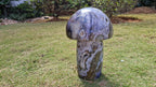 (+12 WEEKS!) Polished and Natural XXL Rare Ocean Jasper Mushroom x 1 Boeny, Madagascar