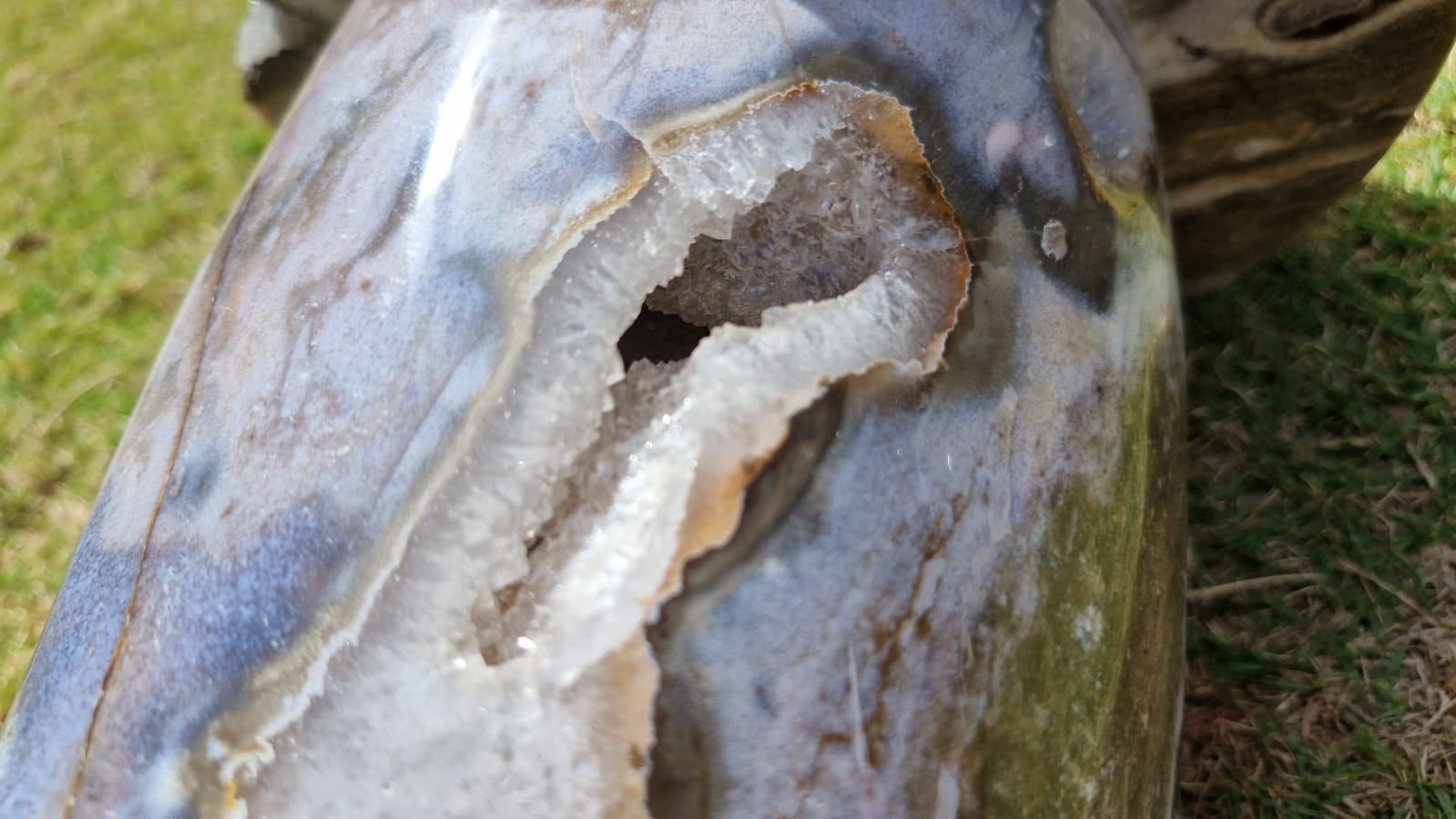 (+12 WEEKS!) Polished and Natural XXL Rare Ocean Jasper Mushroom x 1 Boeny, Madagascar