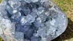 (+12 WEEKS!) Polished and Natural Large Celestite Geode Egg x 1 From Sakoane, Madagascar