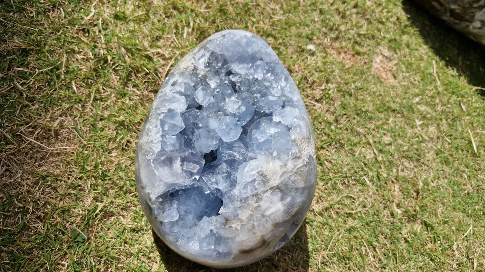 (+12 WEEKS!) Polished and Natural Large Celestite Geode Egg x 1 From Sakoane, Madagascar