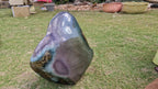 (+12 WEEKS!) Polished XXL Rare and Unusual Agate Ocean Jasper Standing Display Piece x 1 From Boeny, Madagascar