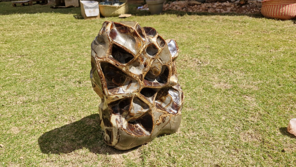 (+12 WEEKS!) Polished XXL Unusual Septerye Standing Display Piece x 1 From Mahajanga, Madagascar