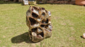 (+12 WEEKS!) Polished XXL Unusual Septerye Standing Display Piece x 1 From Mahajanga, Madagascar