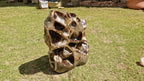 (+12 WEEKS!) Polished XXL Unusual Septerye Standing Display Piece x 1 From Mahajanga, Madagascar