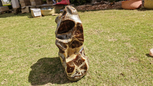 (+12 WEEKS!) Polished XXL Unusual Septerye Standing Display Piece x 1 From Mahajanga, Madagascar