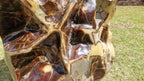 (+12 WEEKS!) Polished XXL Unusual Septerye Standing Display Piece x 1 From Mahajanga, Madagascar