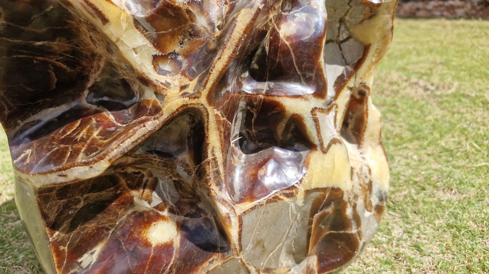 (+12 WEEKS!) Polished XXL Unusual Septerye Standing Display Piece x 1 From Mahajanga, Madagascar