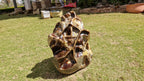 (+12 WEEKS!) Polished XXL Unusual Septerye Standing Display Piece x 1 From Mahajanga, Madagascar