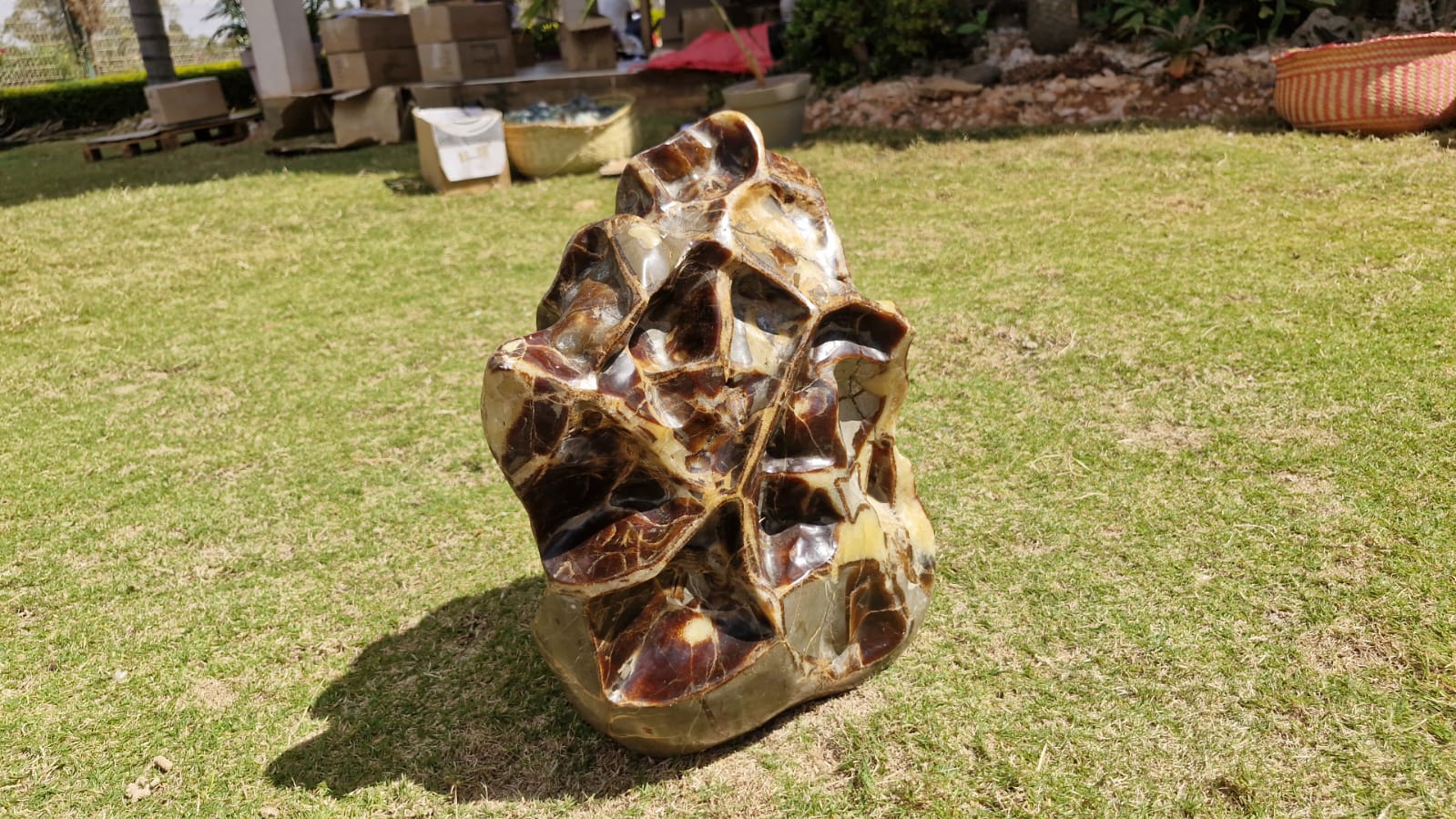 (+12 WEEKS!) Polished XXL Unusual Septerye Standing Display Piece x 1 From Mahajanga, Madagascar
