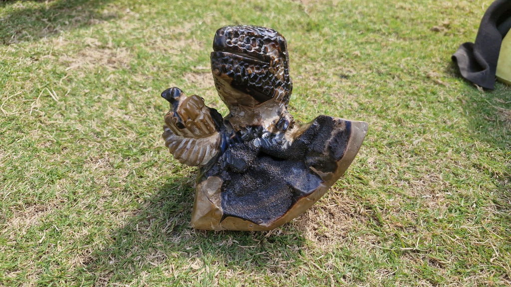 (+12 WEEKS!) Hand Made Large Septerye Sauvage Dinosaur Sculpture x 1 From Mahajanga, Madagascar
