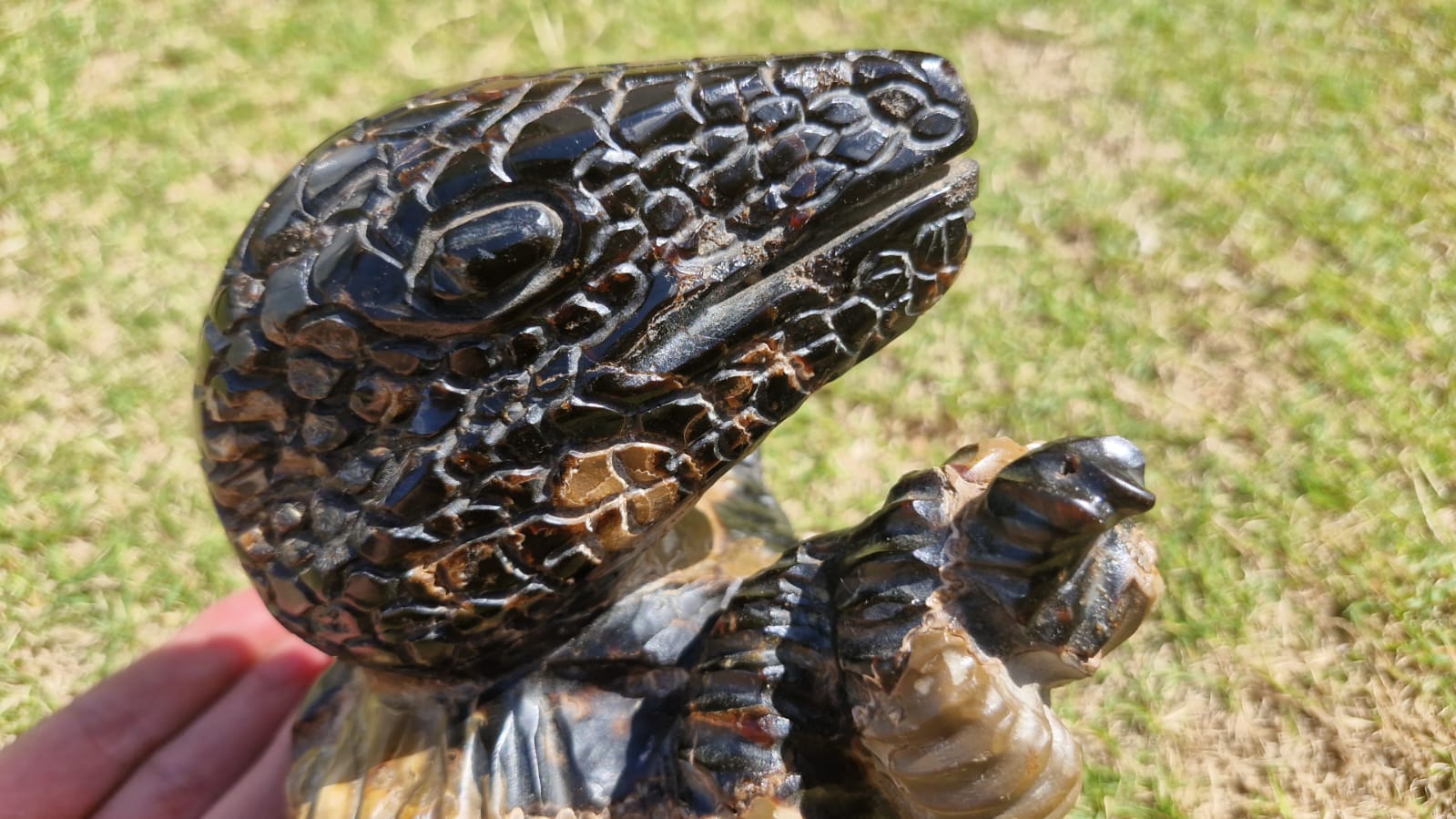 (+12 WEEKS!) Hand Made Large Septerye Sauvage Dinosaur Sculpture x 1 From Mahajanga, Madagascar