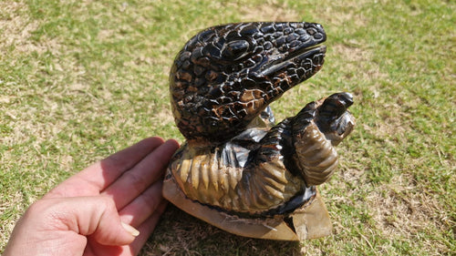 (+12 WEEKS!) Hand Made Large Septerye Sauvage Dinosaur Sculpture x 1 From Mahajanga, Madagascar