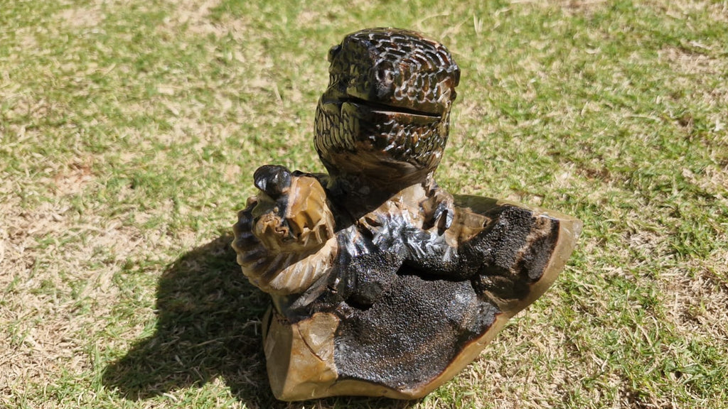 (+12 WEEKS!) Hand Made Large Septerye Sauvage Dinosaur Sculpture x 1 From Mahajanga, Madagascar