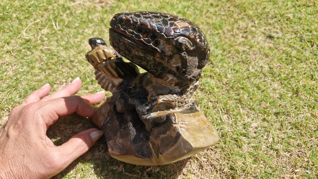 (+12 WEEKS!) Hand Made Large Septerye Sauvage Dinosaur Sculpture x 1 From Mahajanga, Madagascar