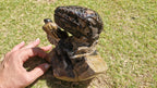 (+12 WEEKS!) Hand Made Large Septerye Sauvage Dinosaur Sculpture x 1 From Mahajanga, Madagascar