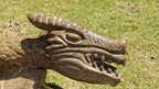 (+12 WEEKS!) Hand Made XXL Septerye Dragon and Ammonite Sculpture x 1 From Mahajanga, Madagascar