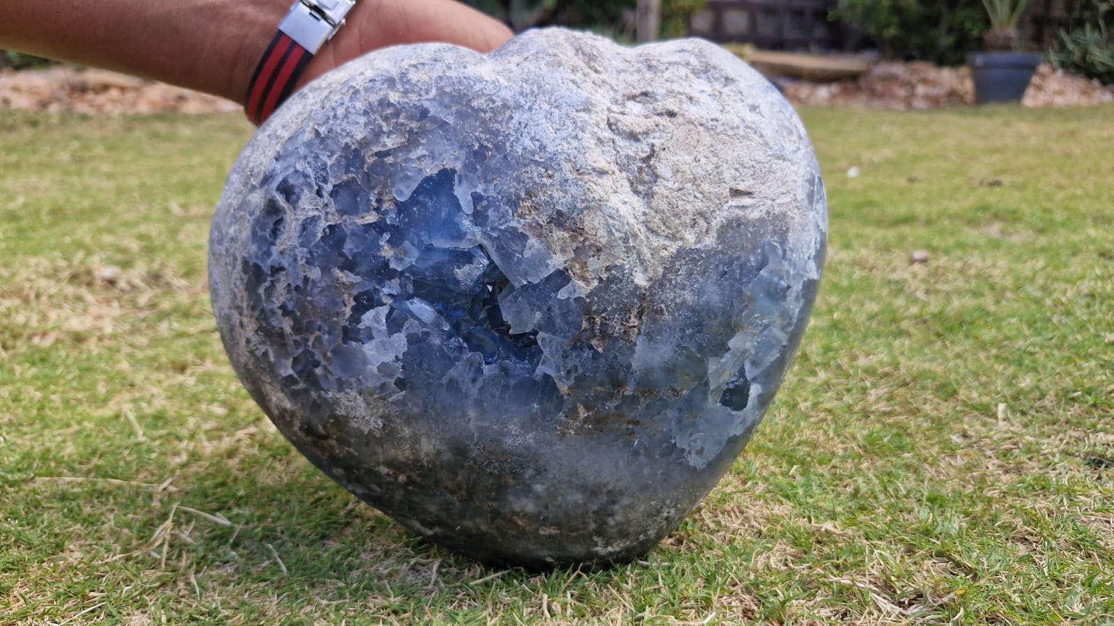 (+12 WEEKS!) Polished and Natural Celestite Gemstone Heart x 1 From Sakoane, Madagascar