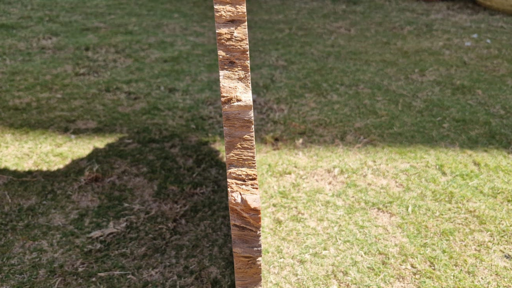 (+12 WEEKS!) Polished and Natural XXL Petrified Wood Slice x 1 From Mahajanga, Madagascar (Copy)
