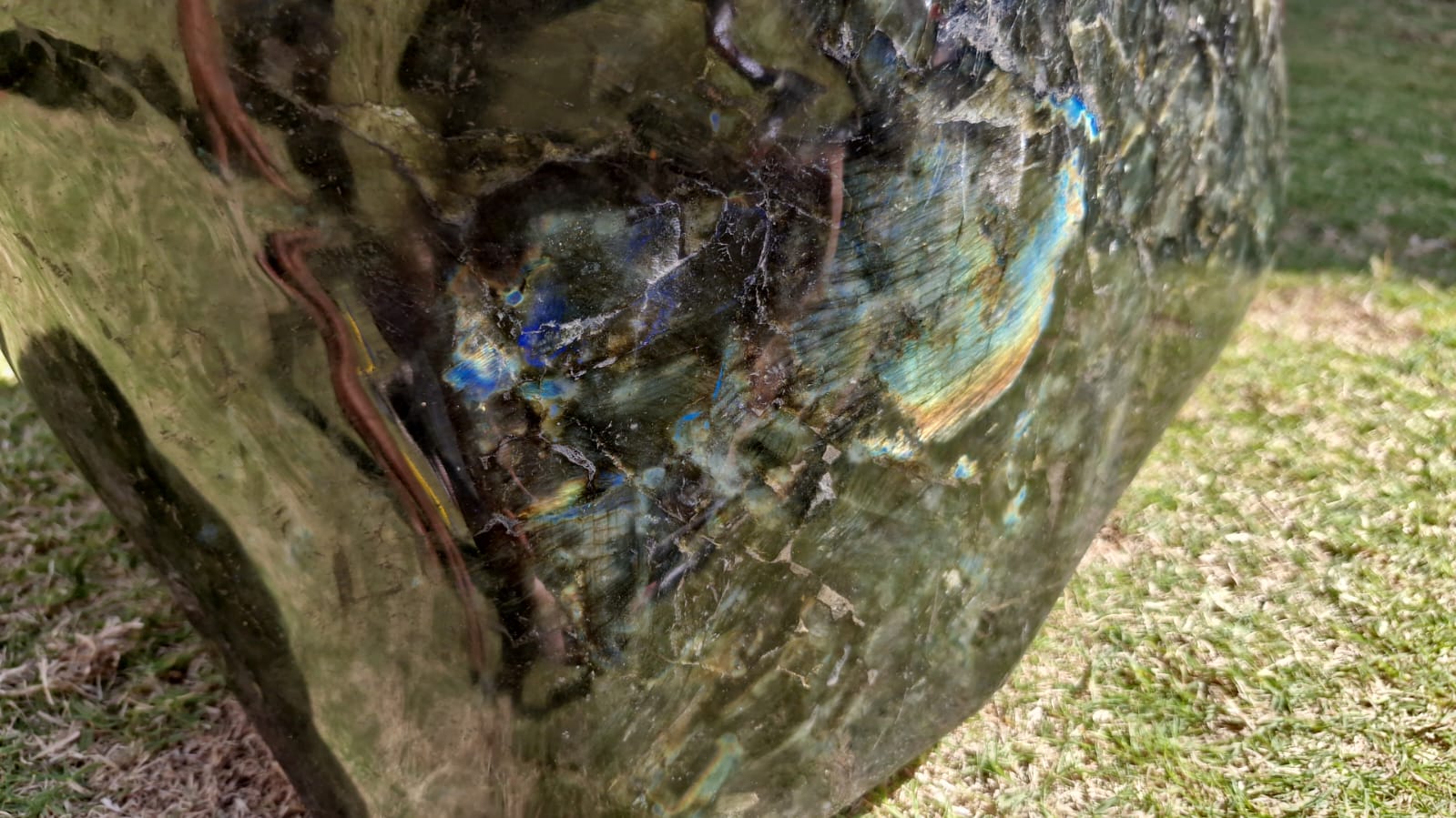 (+12 WEEKS!) Polished XXL Labradorite Standing Display Piece x 1 From Tulear, Madagascar