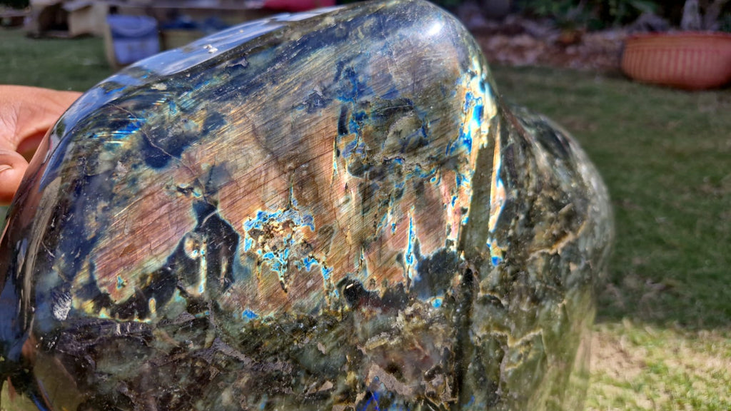 (+12 WEEKS!) Polished XXL Labradorite Standing Display Piece x 1 From Tulear, Madagascar