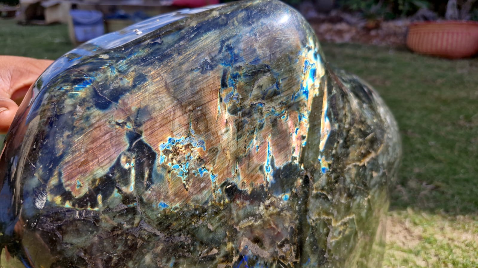 (+12 WEEKS!) Polished XXL Labradorite Standing Display Piece x 1 From Tulear, Madagascar