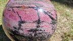 (+12 WEEKS!) Polished XL Rhodonite Gemstone Sphere x 1 From Ambindavato, Madagascar