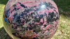 (+12 WEEKS!) Polished XL Rhodonite Gemstone Sphere x 1 From Ambindavato, Madagascar