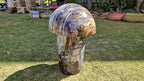 (+12 WEEKS!) Polished XXL Rare Ocean Jasper Mushroom x 1 From Boeny, Madagascar