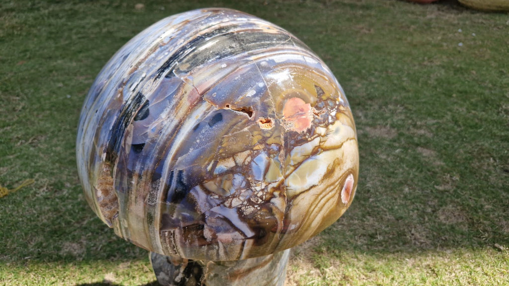 (+12 WEEKS!) Polished XXL Rare Ocean Jasper Mushroom x 1 From Boeny, Madagascar