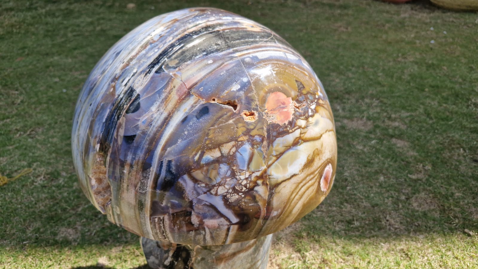 (+12 WEEKS!) Polished XXL Rare Ocean Jasper Mushroom x 1 From Boeny, Madagascar