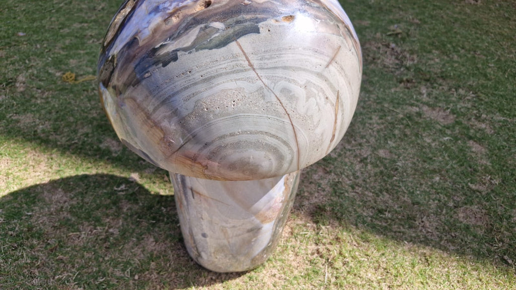 (+12 WEEKS!) Polished XXL Rare Ocean Jasper Mushroom x 1 From Boeny, Madagascar