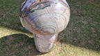 (+12 WEEKS!) Polished XXL Rare Ocean Jasper Mushroom x 1 From Boeny, Madagascar