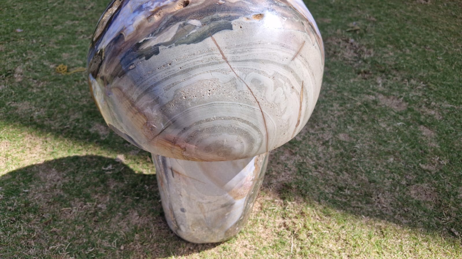 (+12 WEEKS!) Polished XXL Rare Ocean Jasper Mushroom x 1 From Boeny, Madagascar