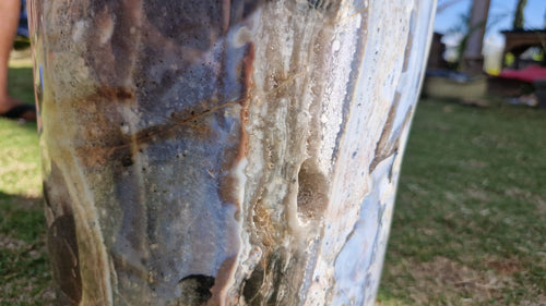 (+12 WEEKS!) Polished XXL Rare Ocean Jasper Mushroom x 1 From Boeny, Madagascar