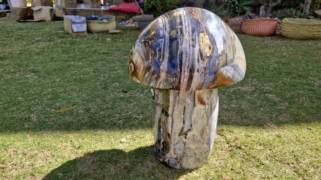 (+12 WEEKS!) Polished XXL Rare Ocean Jasper Mushroom x 1 From Boeny, Madagascar