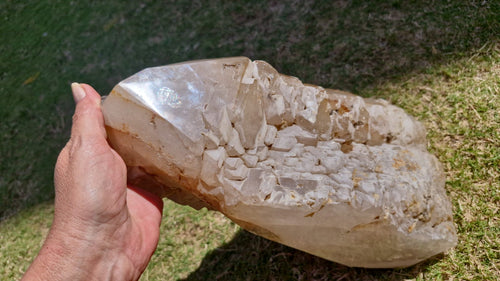 (+12 WEEKS!) Natural XL Rare Cascading Cathedral Smokey Quartz Crystal Cluster x 1 From Ambatondrazaka, Madagascar