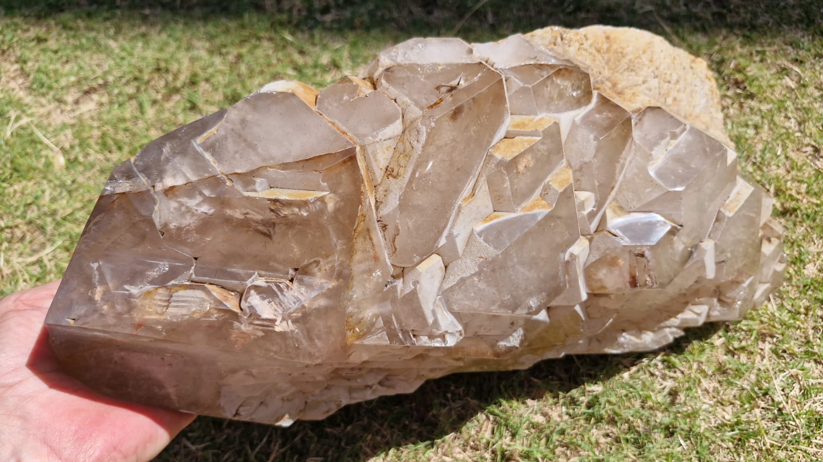 (+12 WEEKS!) Natural XL Rare Cascading Cathedral Smokey Quartz Crystal Cluster x 1 From Ambatondrazaka, Madagascar
