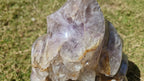 (+12 WEEKS!) Polished and Natural Large Agate with Amethyst Crystal Centre Geode Flame x 1 From Maintirano, Madagascar