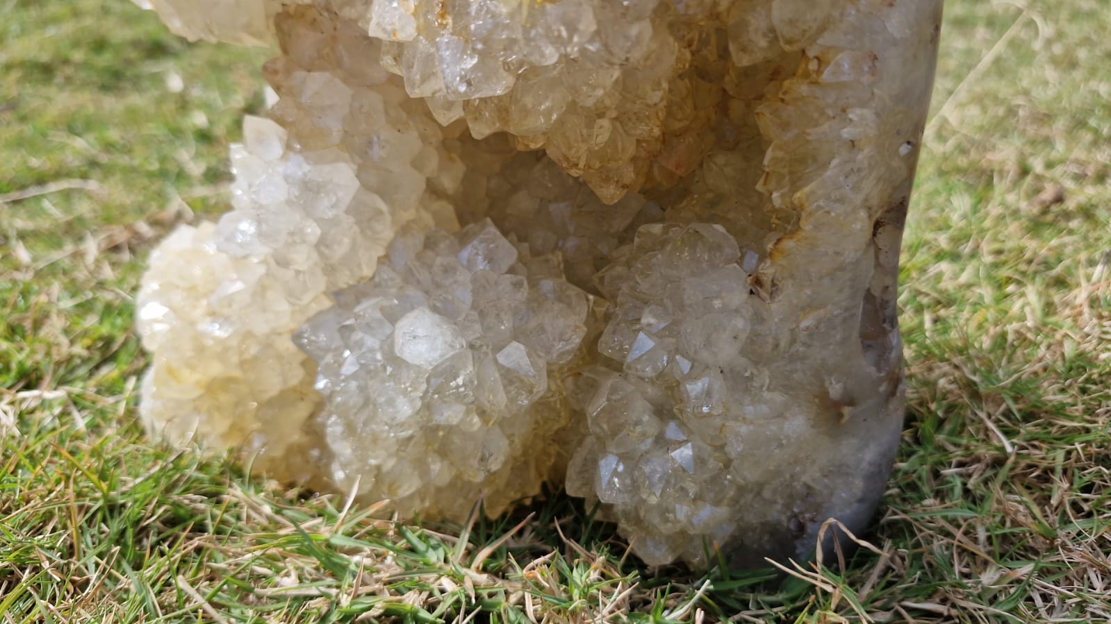 (+12 WEEKS!) Polished and Natural XL Coral Agate Crystal Cluster x 1 From Maintirano, Madagascar