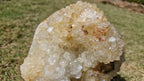 (+12 WEEKS!) Polished and Natural XL Coral Agate Crystal Cluster x 1 From Maintirano, Madagascar