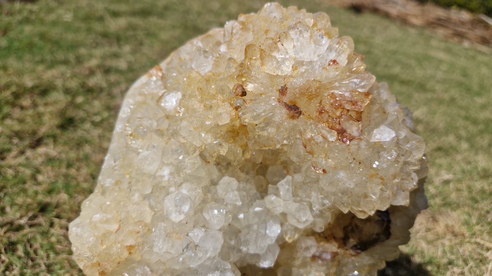 (+12 WEEKS!) Polished and Natural XL Coral Agate Crystal Cluster x 1 From Maintirano, Madagascar