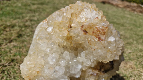 (+12 WEEKS!) Polished and Natural XL Coral Agate Crystal Cluster x 1 From Maintirano, Madagascar