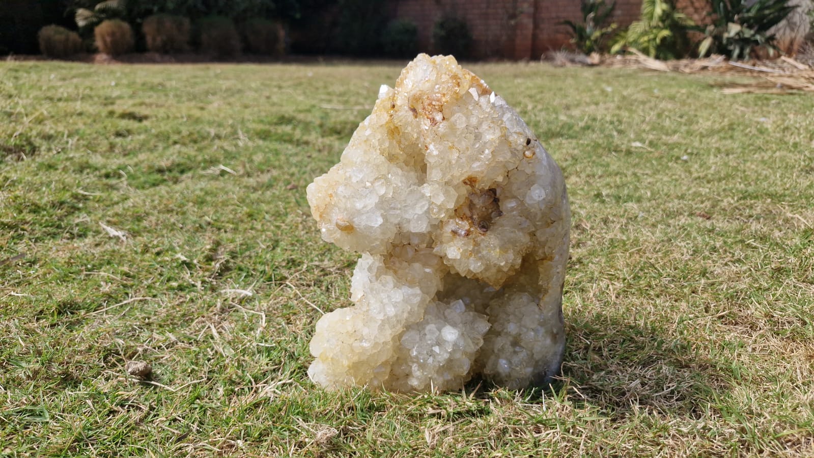 (+12 WEEKS!) Polished and Natural XL Coral Agate Crystal Cluster x 1 From Maintirano, Madagascar