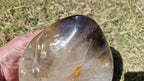 (+12 WEEKS!) Polished Large Smokey Citrine Quartz Display Crystal with Rainbow Veils x 1 From Madagascar