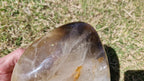 (+12 WEEKS!) Polished Large Smokey Citrine Quartz Display Crystal with Rainbow Veils x 1 From Madagascar