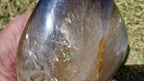 (+12 WEEKS!) Polished Large Smokey Citrine Quartz Display Crystal with Rainbow Veils x 1 From Madagascar