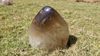 (+12 WEEKS!) Polished Large Smokey Citrine Quartz Display Crystal with Rainbow Veils x 1 From Madagascar