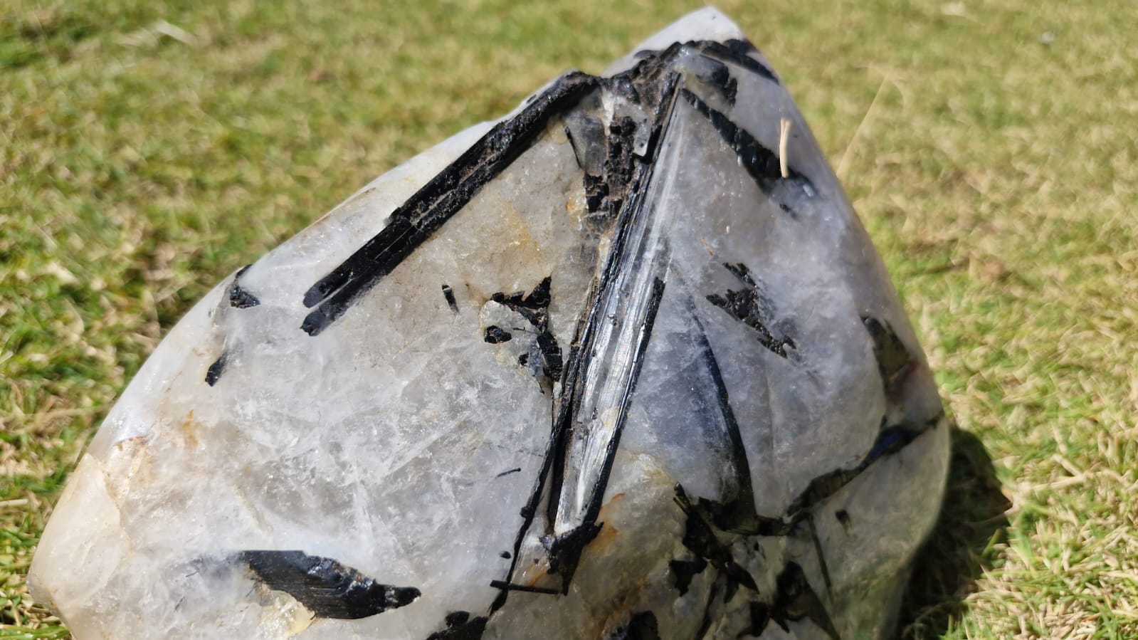 (+12 WEEKS!) Polished and Natural XL Tourmalinated Quartz Crystal x 1 From Ambatondrazaka, Madagascar