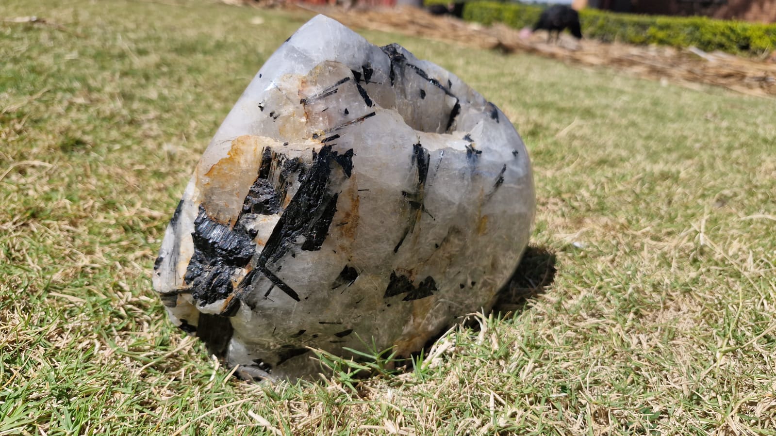 (+12 WEEKS!) Polished and Natural XL Tourmalinated Quartz Crystal x 1 From Ambatondrazaka, Madagascar