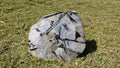 (+12 WEEKS!) Polished and Natural XL Tourmalinated Quartz Crystal x 1 From Ambatondrazaka, Madagascar